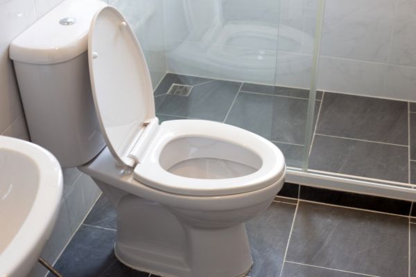 Cost of Toilet Replacement in Cape Coral